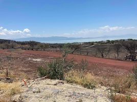  Grundstück zu verkaufen in Lago De Chapala, Jalisco, Lago De Chapala