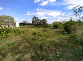  Land for sale in Tolima, Ibague, Tolima