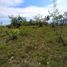  Land for sale in Tolima, Ibague, Tolima