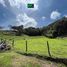  Land for sale in San Vicente, Antioquia, San Vicente