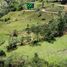  Land for sale in San Vicente, Antioquia, San Vicente