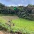  Land for sale in San Vicente, Antioquia, San Vicente