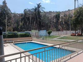 3 Schlafzimmer Wohnung zu verkaufen in Lurigancho, Lima, Lurigancho