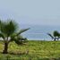 在Punta Hermosa, Lima出租的 屋, Punta Hermosa