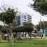  Land for sale in Los Olivos, Lima, Los Olivos, Lima, Lima
