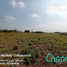  Land for sale in Babahoyo, Los Rios, Babahoyo, Babahoyo