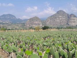  Land for sale in Tlayacapan, Morelos, Tlayacapan