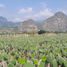  Land for sale in Tlayacapan, Morelos, Tlayacapan