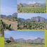  Land for sale in Tlayacapan, Morelos, Tlayacapan