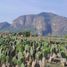  Land for sale in Tlayacapan, Morelos, Tlayacapan