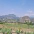  Land for sale in Tlayacapan, Morelos, Tlayacapan