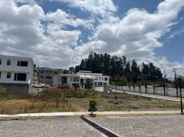  Land for sale in Alangasi, Quito, Alangasi