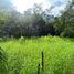 在Coatepec, Veracruz出售的 土地, Coatepec