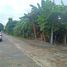  Land for sale in Luna, Isabela, Luna