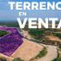  Grundstück zu verkaufen in Tambo Grande, Piura, Tambo Grande, Piura, Piura
