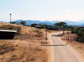  Grundstück zu verkaufen in Tambo Grande, Piura, Tambo Grande, Piura, Piura