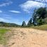  Land for sale in San Vicente, Antioquia, San Vicente