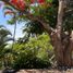 4 Bedroom Condo for rent in Manzanillo Colima, Manzanillo