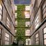 3 Habitación Apartamento en venta en Miguel Hidalgo, Ciudad de México, Miguel Hidalgo, Ciudad de México