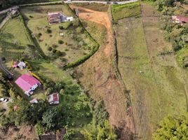 Terrain à vendre à Rionegro, Antioquia, Rionegro