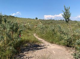  Terreno (Parcela) en venta en Zapopan, Jalisco, Zapopan, Jalisco