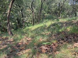 Terrain à vendre à Zapopan, Jalisco, Zapopan