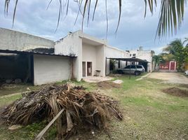 544 SqM Office for rent in Merida, Yucatan, Merida