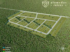  Land for sale in Hunucma, Yucatan, Hunucma