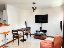 2 Bedroom Apartment for rent in Bare Foot Park (Parque de los Pies Descalzos), Medellin, Medellin