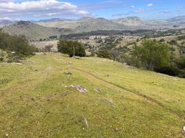  Grundstück zu verkaufen in Curico, Maule, Rauco, Curico