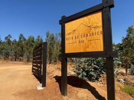  토지을(를) Colchagua, Libertador General Bernardo Ohiggins에서 판매합니다., Pumanque, Colchagua