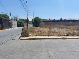  Grundstück zu verkaufen in Chiautla, Mexico, Chiautla