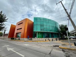 220 平米 Office for rent in Aguascalientes, Aguascalientes, Aguascalientes