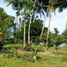  Terrain for sale in Aborlan, Palawan, Aborlan