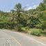  Land for sale in Maria Aurora, Central Luzon, Maria Aurora, Aurora