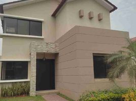 4 Bedroom House for rent in Samborondon, Guayas, Samborondon, Samborondon