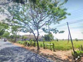  Land for sale in Banyuwangi, East Jawa, Singojuruh, Banyuwangi