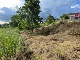  Land for sale in Rizal, Calabarzon, Antipolo City, Rizal