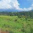  Land for sale in Manolo Fortich, Northern Mindanao, Manolo Fortich, Bukidnon