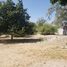  Land for rent in Tilapa, Puebla, Tilapa