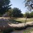  Land for rent in Tilapa, Puebla, Tilapa