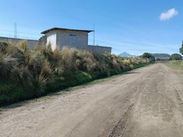  Grundstück zu verkaufen in Munoz De Domingo Arenas, Tlaxcala, Munoz De Domingo Arenas, Tlaxcala