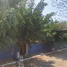 3 Habitación Casa en venta en Tlayacapan, Morelos, Tlayacapan