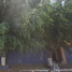 3 Habitación Casa en venta en Tlayacapan, Morelos, Tlayacapan