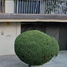 5 Habitación Casa en venta en Benito Juarez, Ciudad de México, Benito Juarez