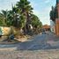  Grundstück zu verkaufen in Allende, Guanajuato, Allende