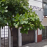 Maison 3 chambre à vendre à Puerto Vallarta, Jalisco, Puerto Vallarta
