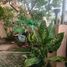 4 Schlafzimmer Villa zu verkaufen in Jatiasih, West Jawa, Jatiasih, Bekasi