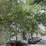2 Bedroom Condo for sale in Miguel Hidalgo, Mexico City, Miguel Hidalgo