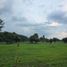 Terrain à vendre à Calamba City, Calabarzon, Calamba City